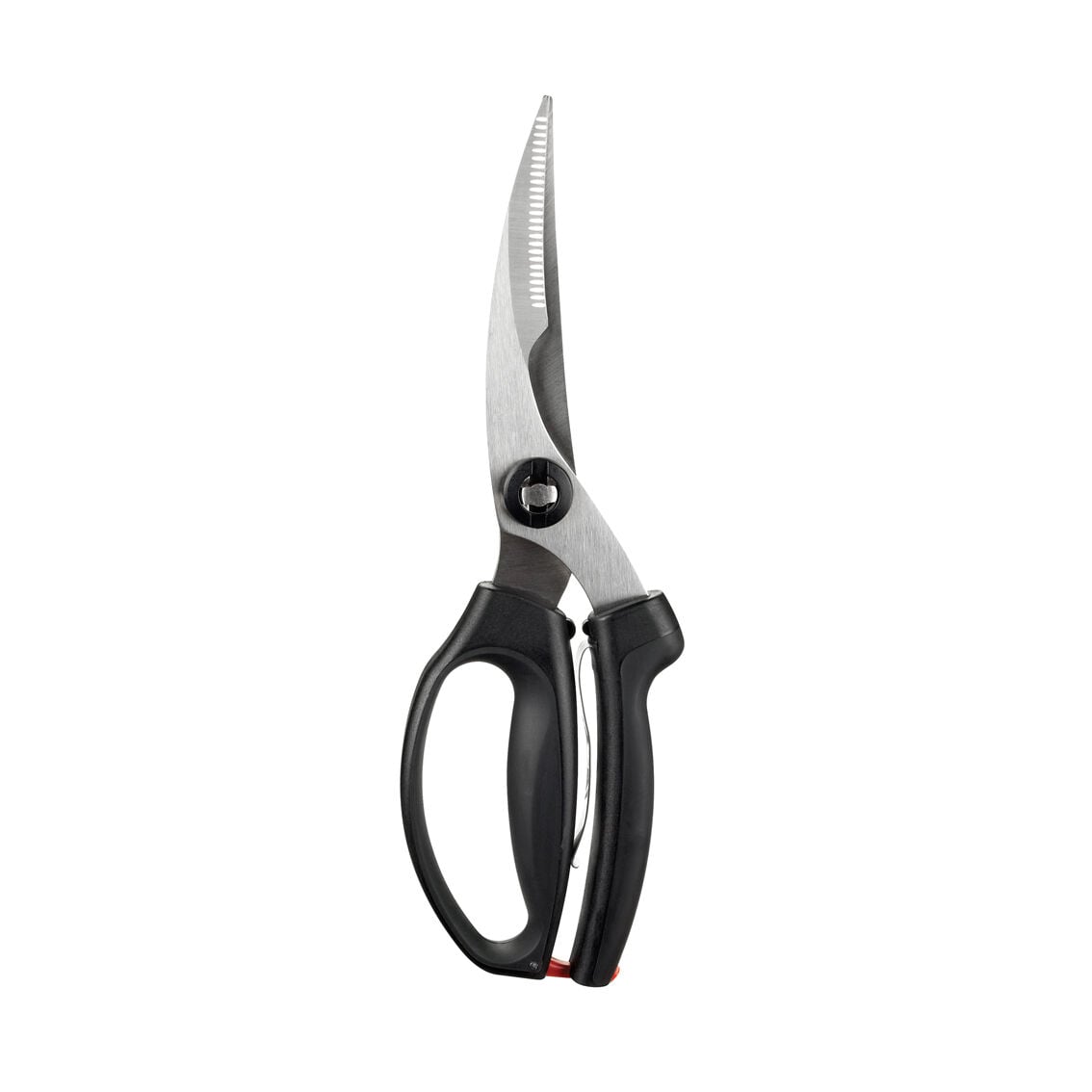 poultry-shears-r6 1072292V3.jpg