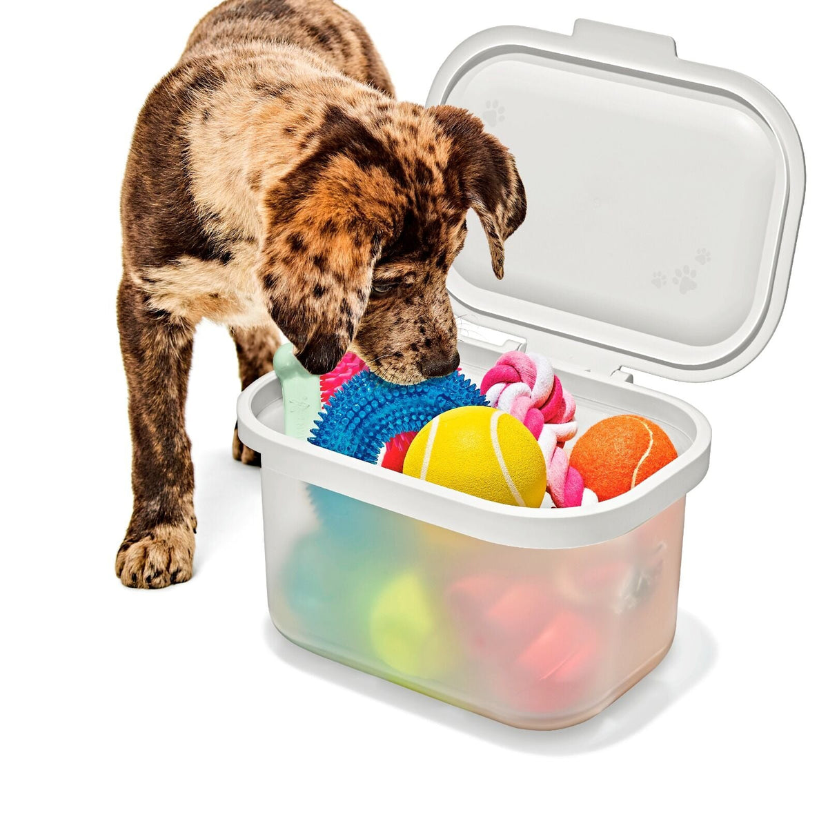 oxo-pet-multi-purpose-container-e3 pet_7301300_multi-purpose-container_pdp_06.jpeg